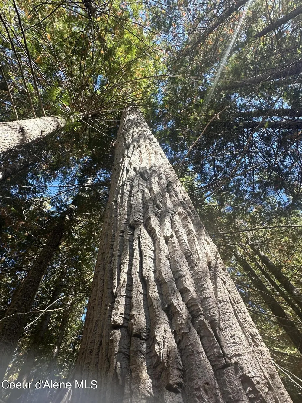 NKA Lot 2 Forty Niner Ln. Bonners Ferry, ID 83805