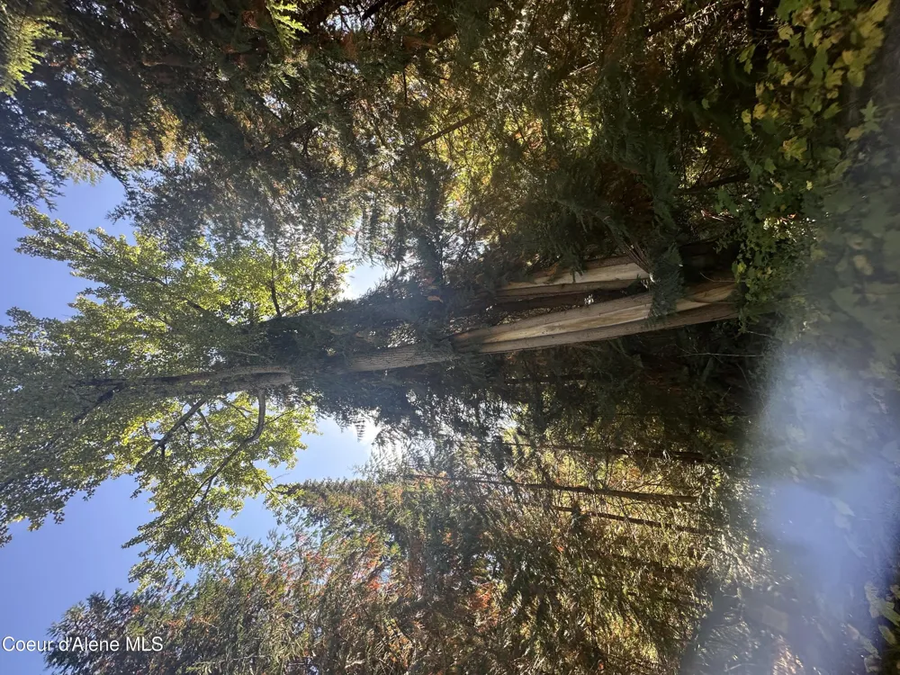 NKA Lot 2 Forty Niner Ln. Bonners Ferry, ID 83805