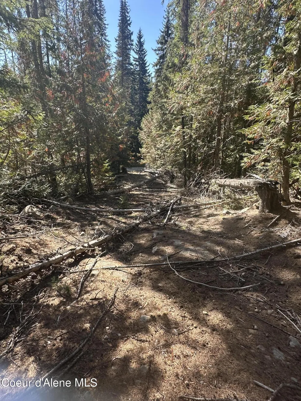 NKA Lot 2 Forty Niner Ln. Bonners Ferry, ID 83805