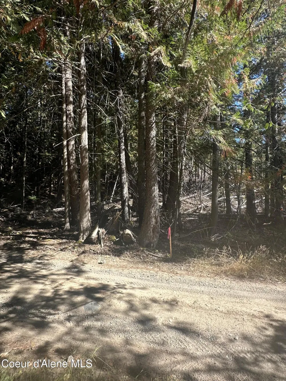 NKA Lot 2 Forty Niner Ln. Bonners Ferry, ID 83805