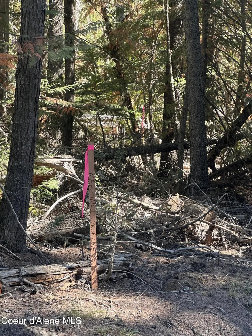 NKA Lot 2 Forty Niner Ln. Bonners Ferry, ID 83805
