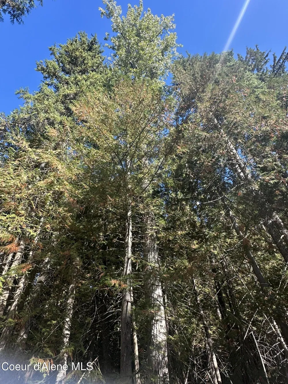 NKA Lot 2 Forty Niner Ln. Bonners Ferry, ID 83805