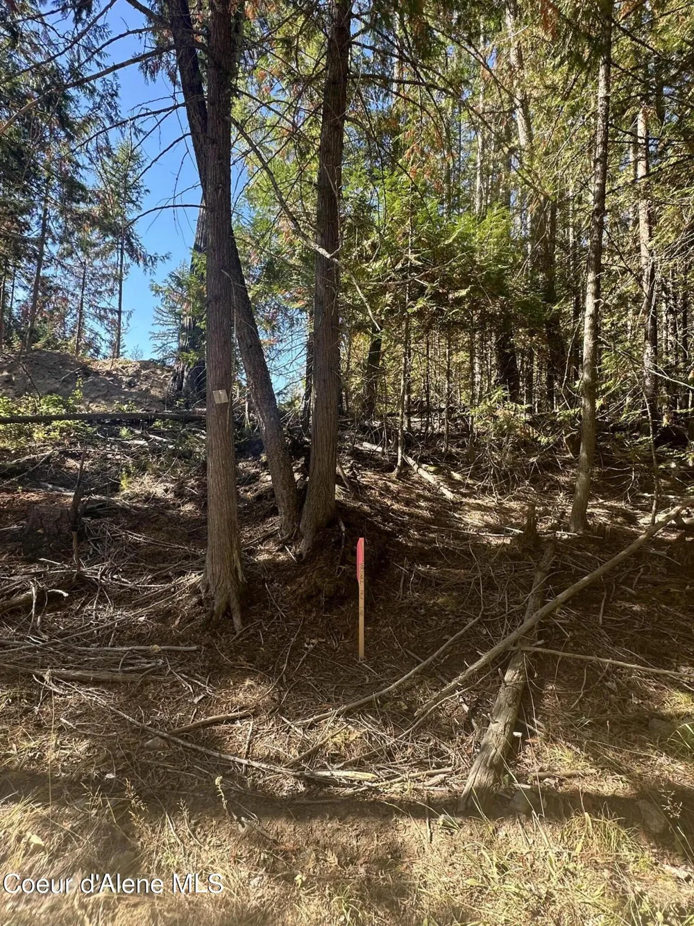 NKA Lot 2 Forty Niner Ln. Bonners Ferry, ID 83805