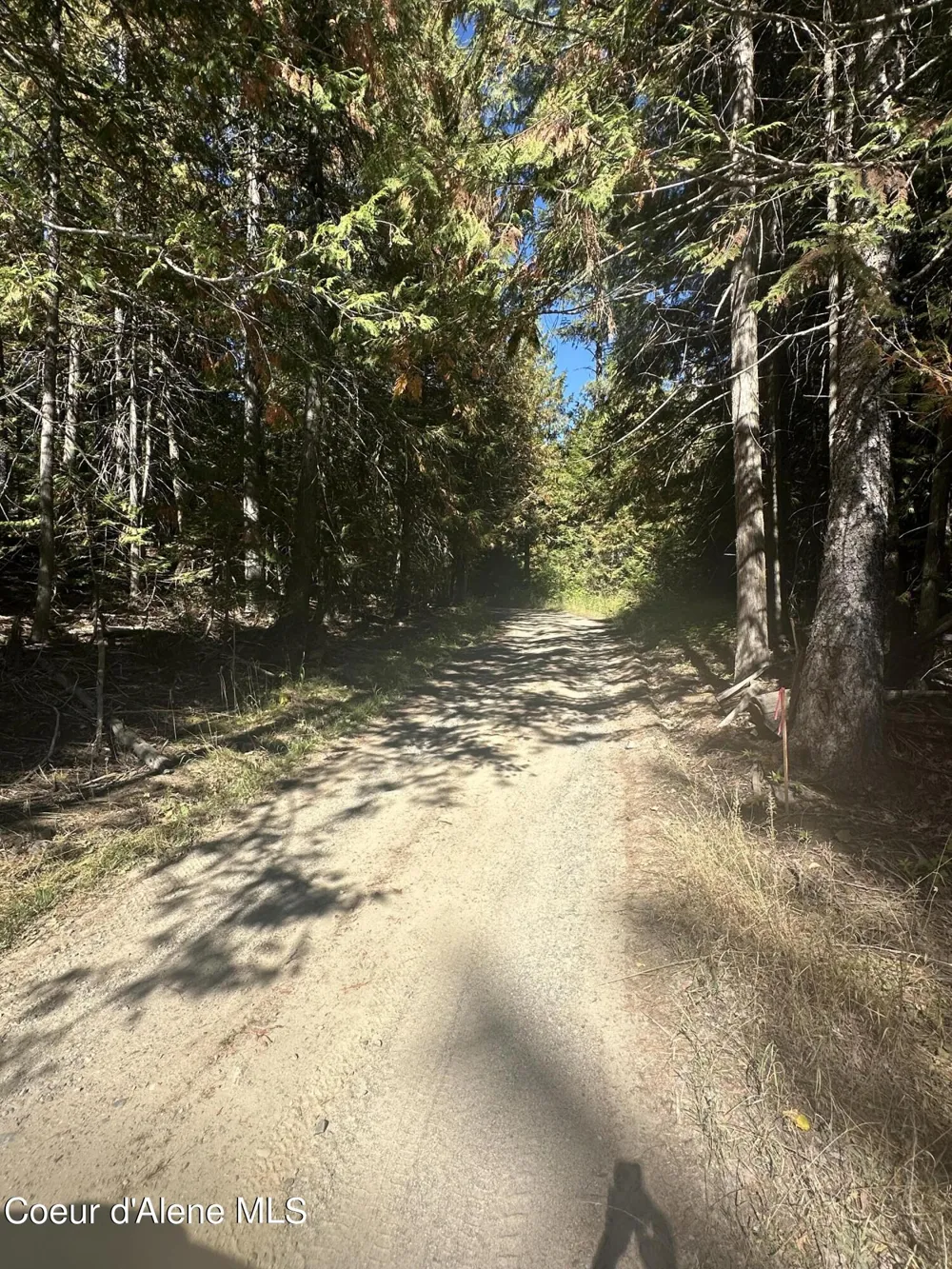 NKA Lot 2 Forty Niner Ln. Bonners Ferry, ID 83805