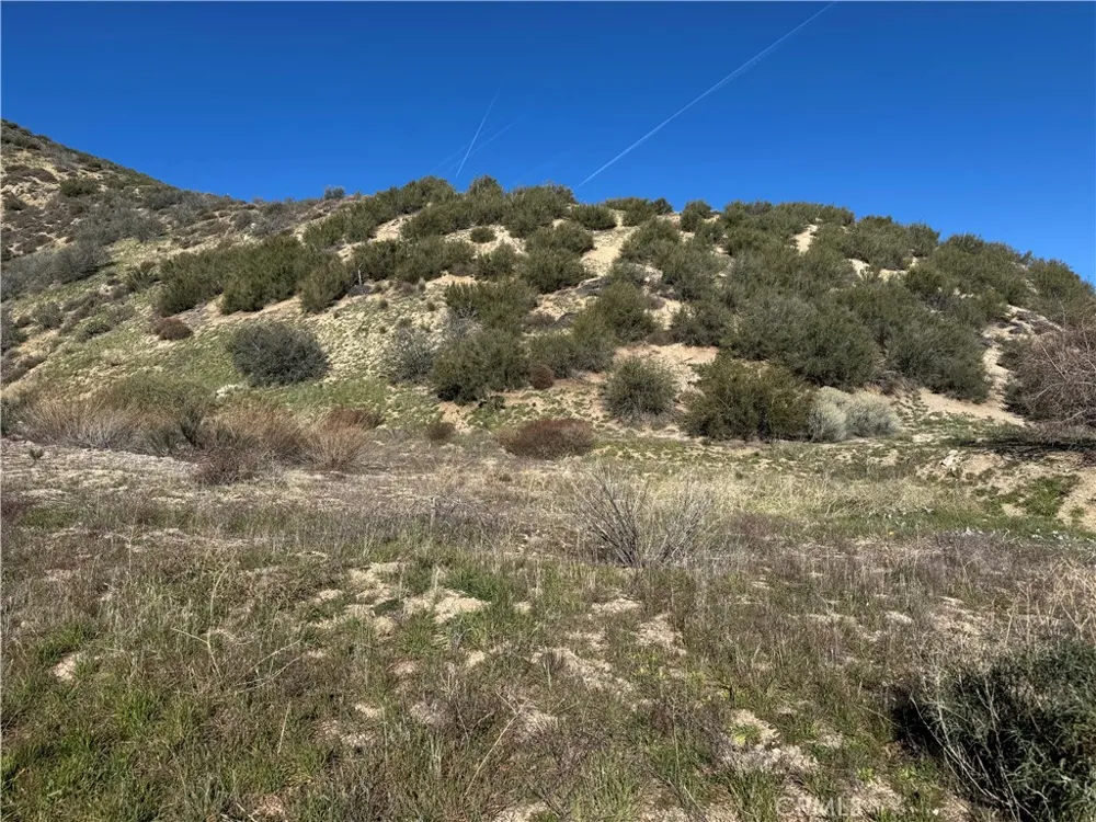 Munz Ranch Rd/150 W Del Sur, CA 93536