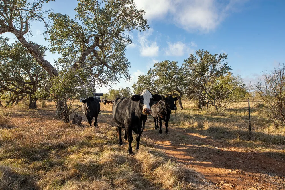 5550 S US Highway 87 Brady, TX 76825