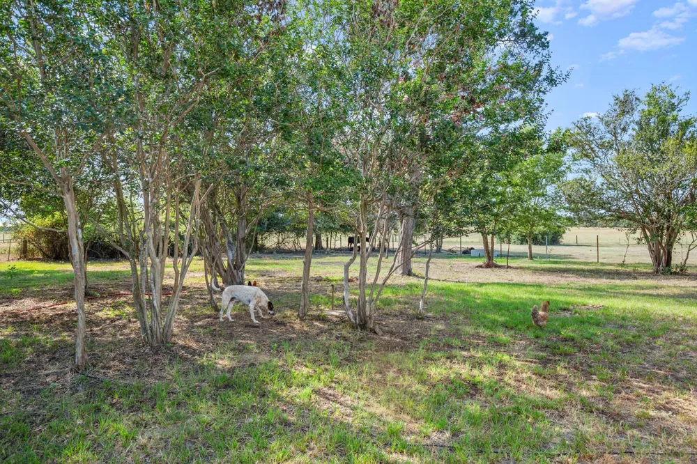 1099 Private Road 1061 Paige, TX 78659