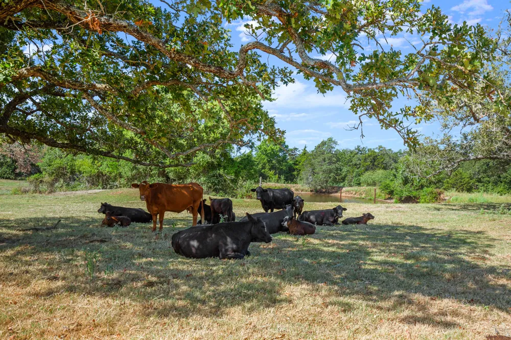 1099 Private Road 1061 Paige, TX 78659