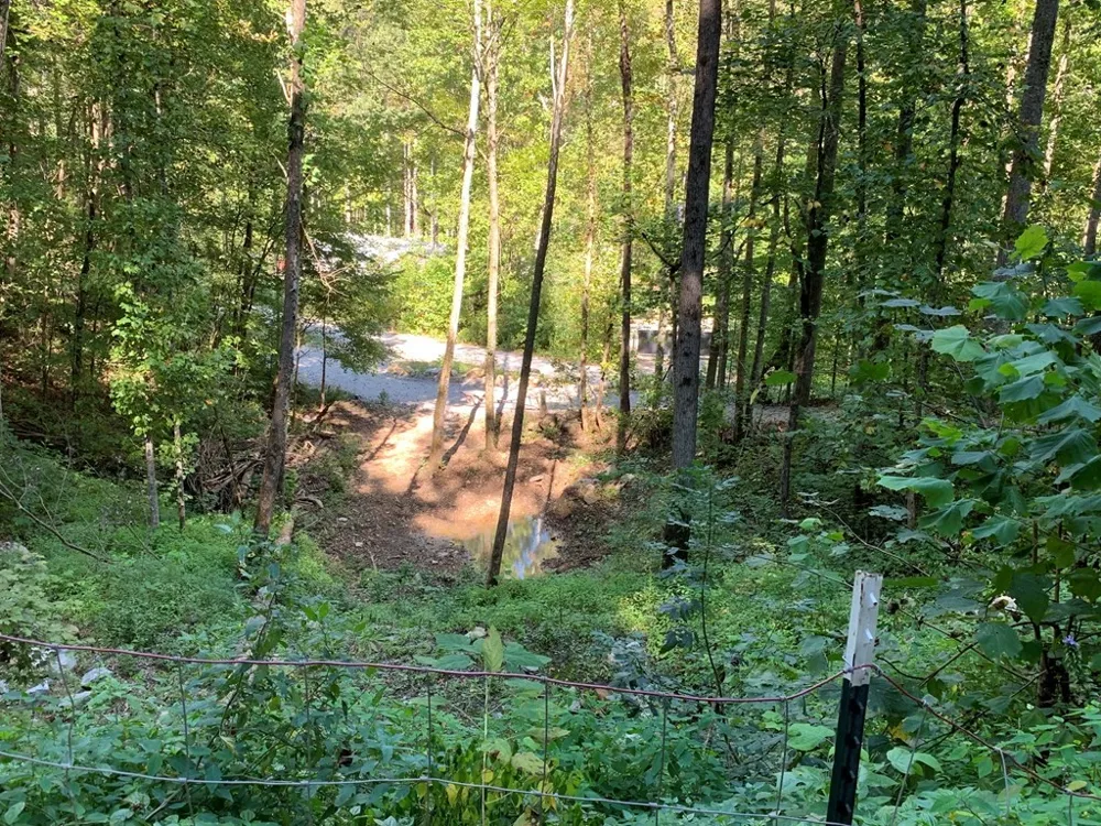 1029 E Obey Ln Wilder, TN 38589