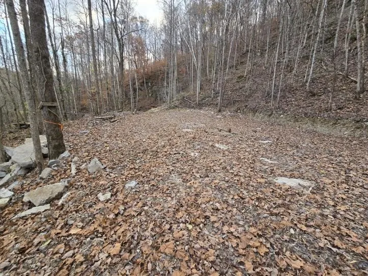 1029 E Obey Ln Wilder, TN 38589