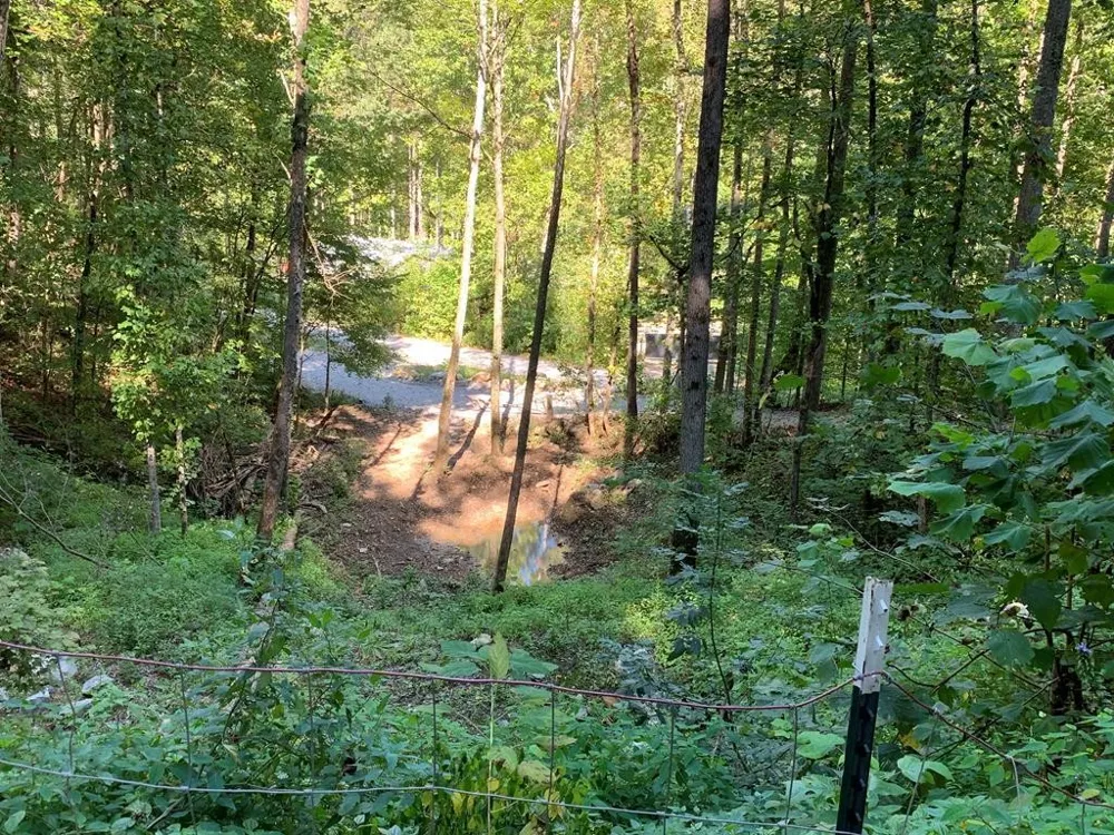 1029 E Obey Ln Wilder, TN 38589