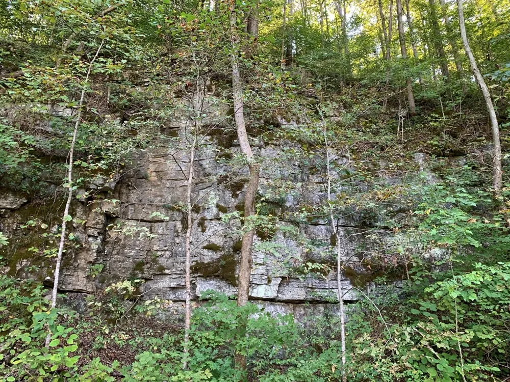 1029 E Obey Ln Wilder, TN 38589