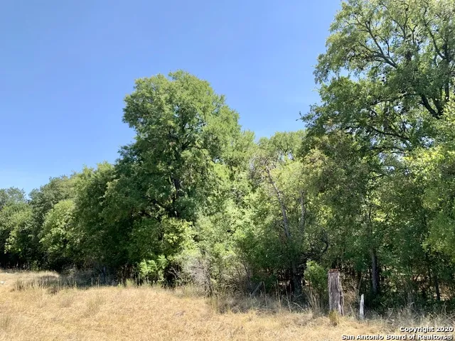12100 ORSINGER LN San Antonio, TX 78230