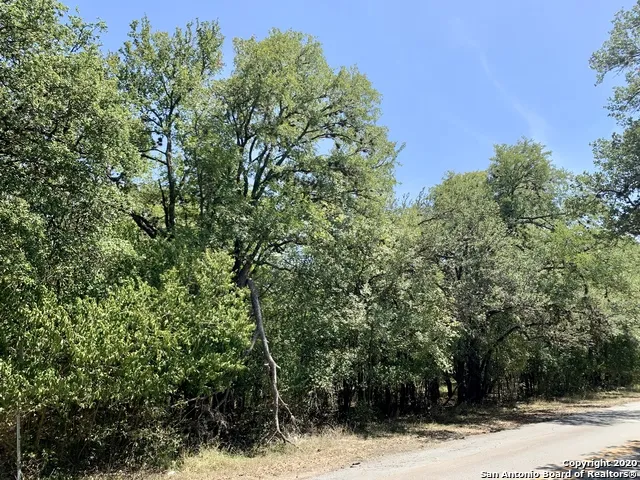 12100 ORSINGER LN San Antonio, TX 78230