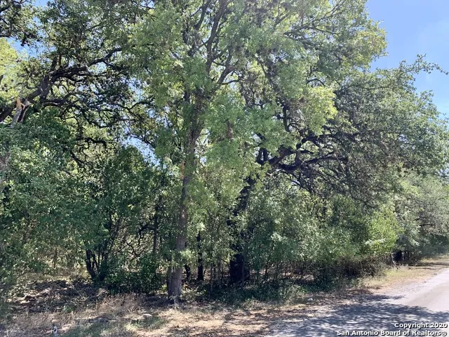 12100 ORSINGER LN San Antonio, TX 78230