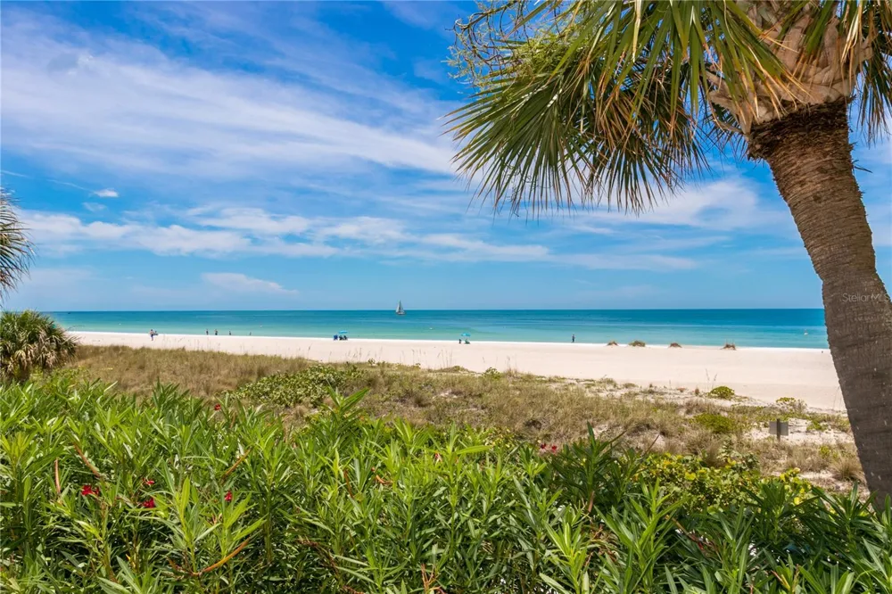 1380 GULF BOULEVARD #805 Clearwater, FL 33767