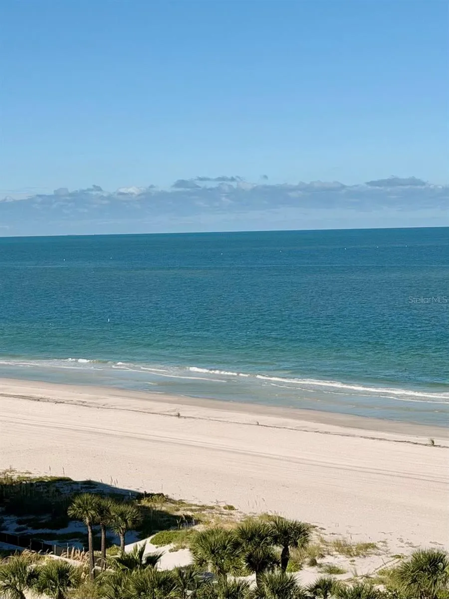1380 GULF BOULEVARD #805 Clearwater, FL 33767