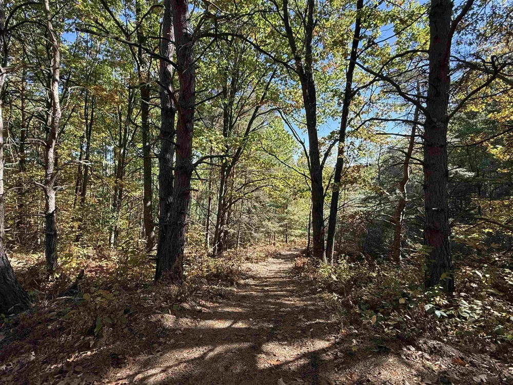 4273 Dickerson Road Manton City, MI 49663