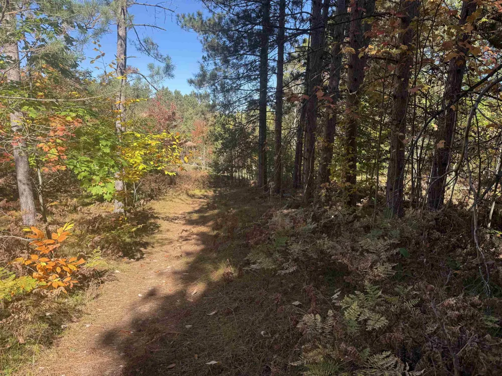 4273 Dickerson Road Manton City, MI 49663