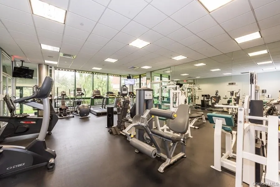 100 Hilton Avenue #901 Garden City, NY 11530