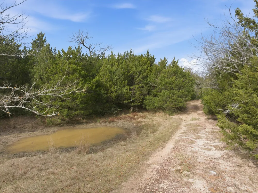 LCR 762 Groesbeck, TX 76642