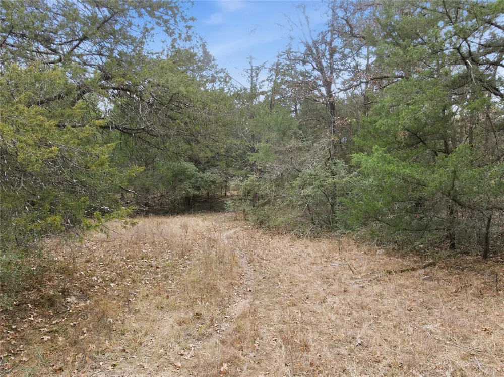 LCR 762 Groesbeck, TX 76642