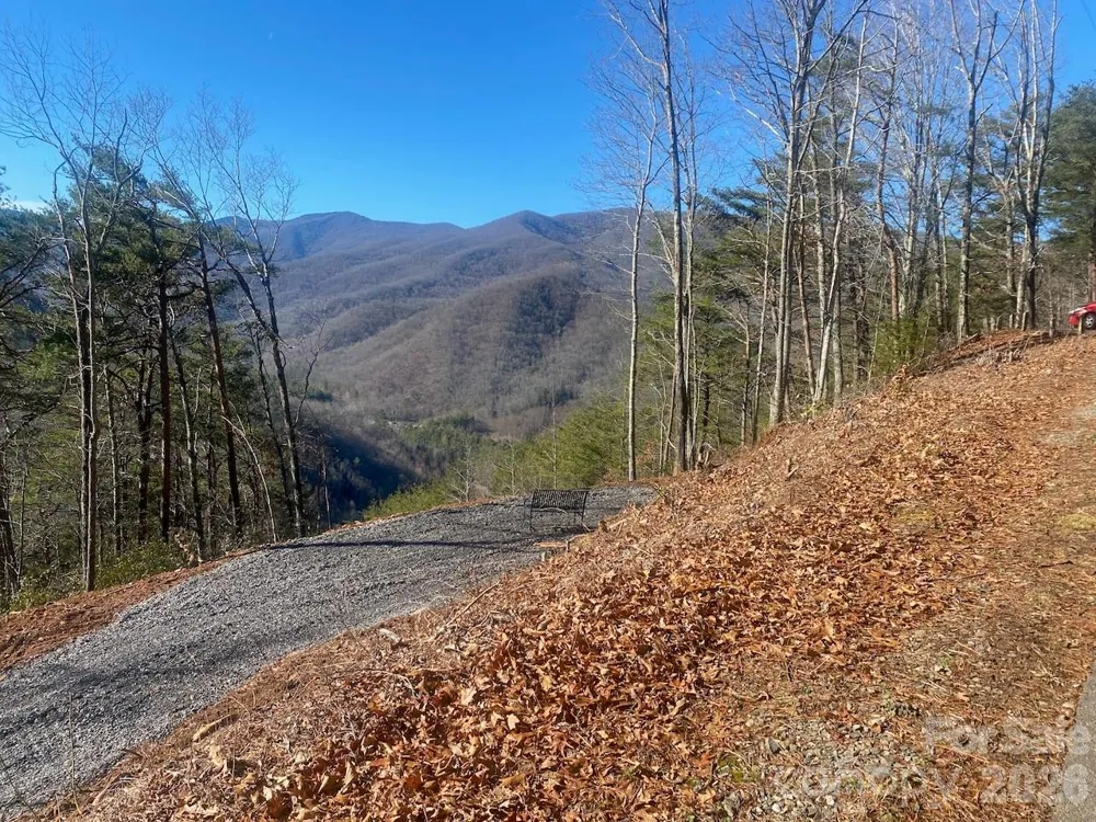 000 Blue Vista Road Canton, NC 28716