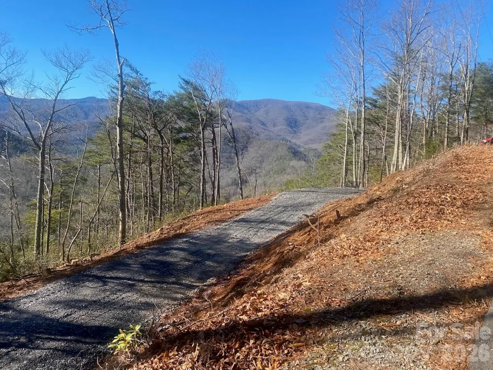 000 Blue Vista Road Canton, NC 28716
