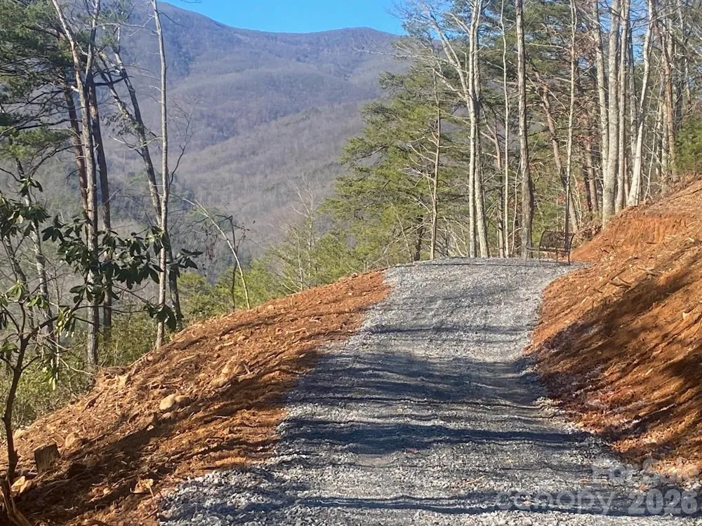 000 Blue Vista Road Canton, NC 28716
