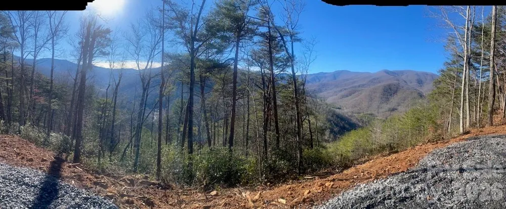 000 Blue Vista Road Canton, NC 28716