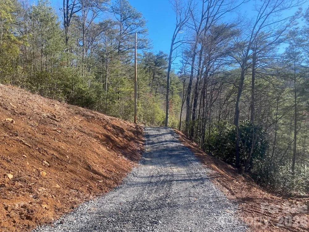 000 Blue Vista Road Canton, NC 28716