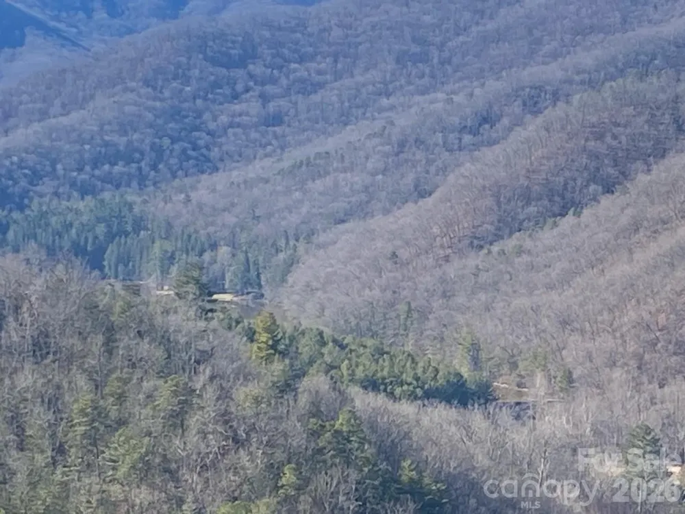 000 Blue Vista Road Canton, NC 28716