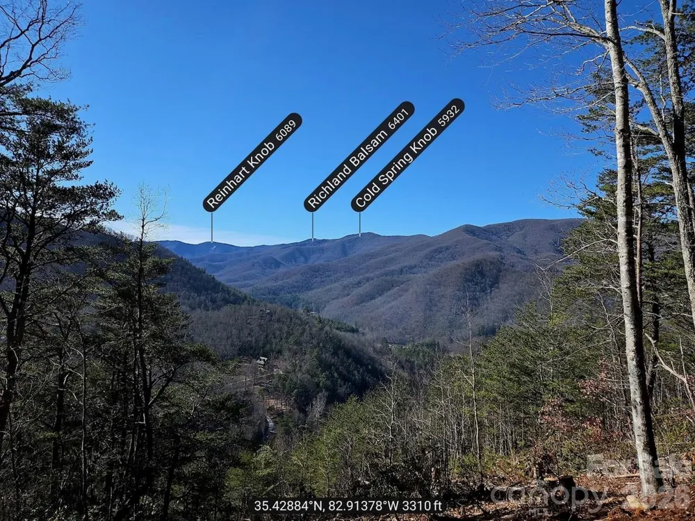 000 Blue Vista Road Canton, NC 28716