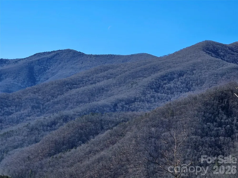 000 Blue Vista Road Canton, NC 28716