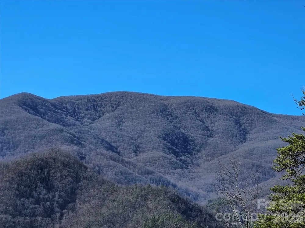 000 Blue Vista Road Canton, NC 28716