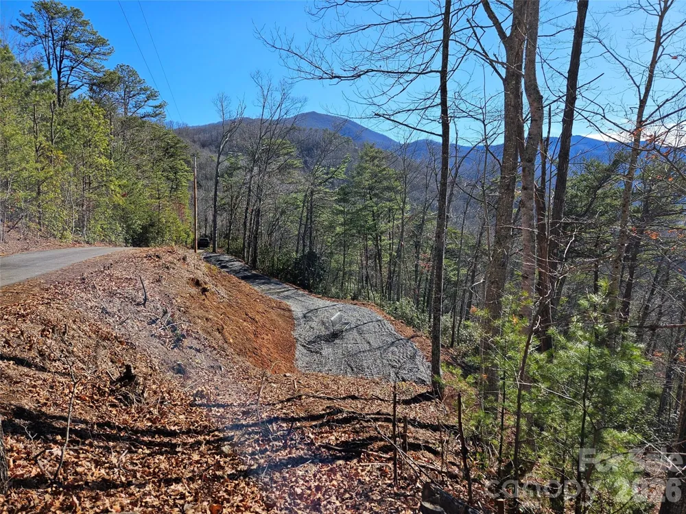 000 Blue Vista Road Canton, NC 28716