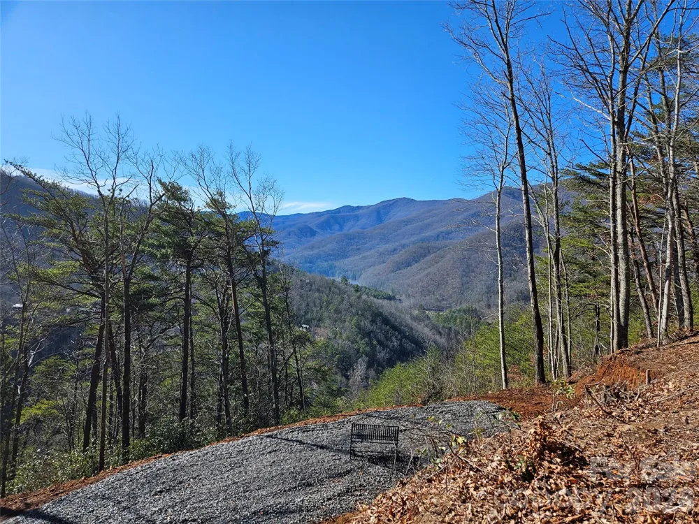 000 Blue Vista Road Canton, NC 28716