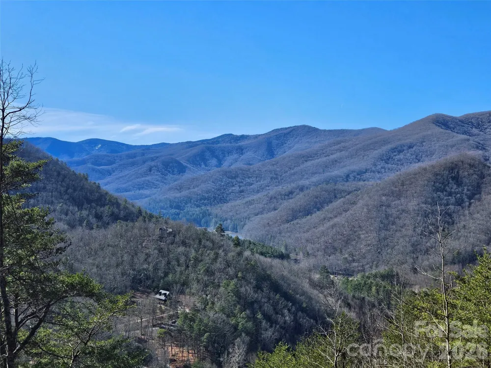 000 Blue Vista Road Canton, NC 28716