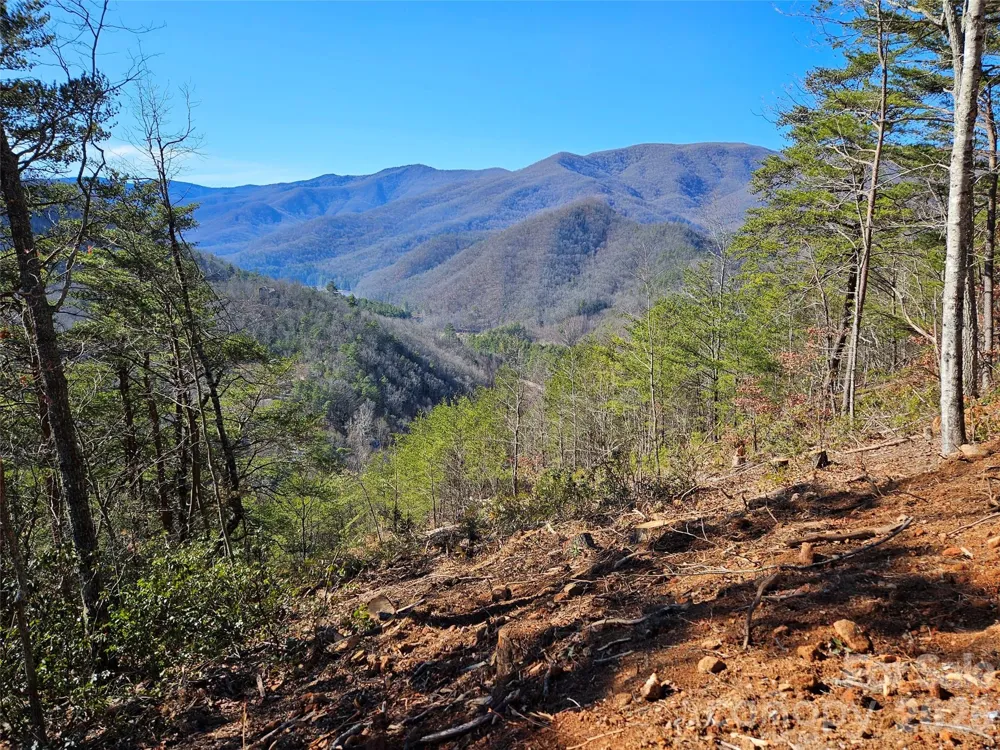 000 Blue Vista Road Canton, NC 28716