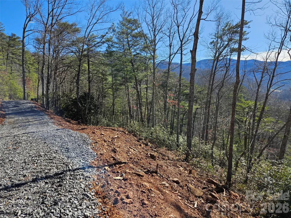000 Blue Vista Road Canton, NC 28716