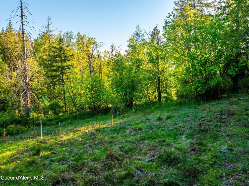 Lot F11 S Idaho Club Dr Sandpoint, ID 83864