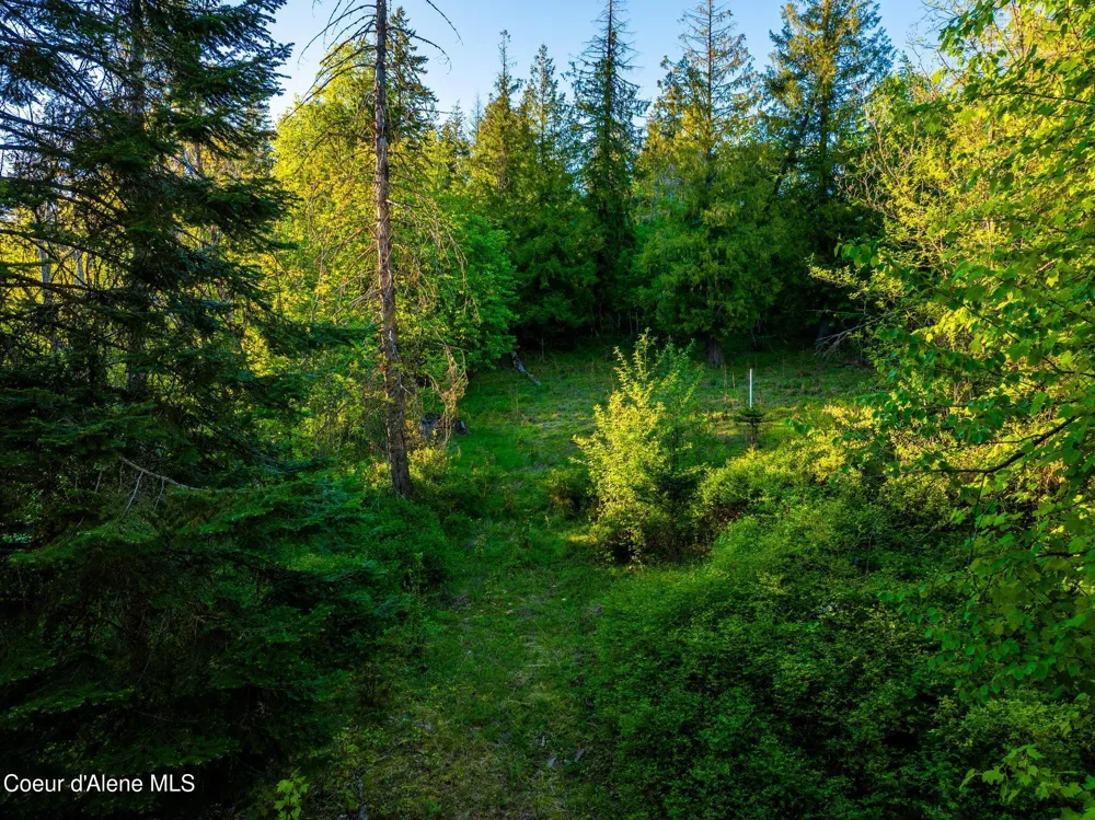 Lot F11 S Idaho Club Dr Sandpoint, ID 83864