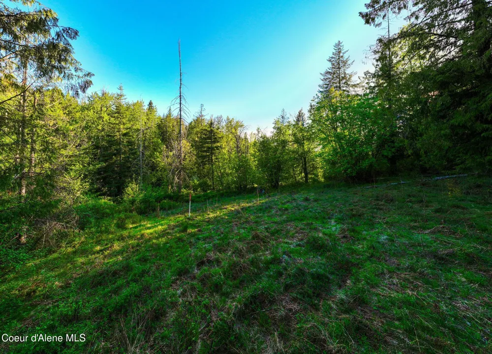 Lot F11 S Idaho Club Dr Sandpoint, ID 83864