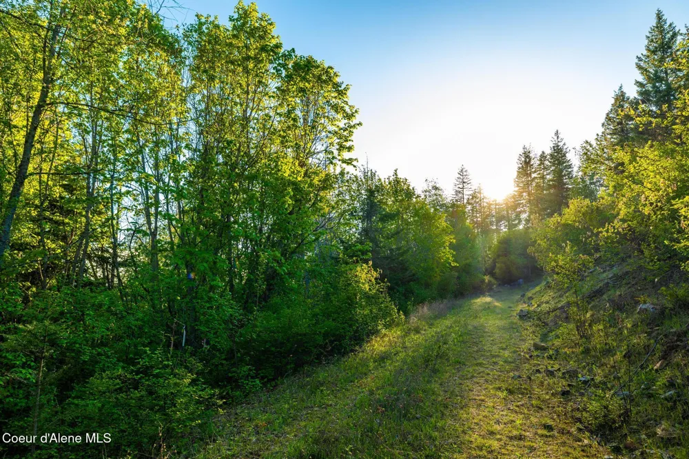 Lot F11 S Idaho Club Dr Sandpoint, ID 83864