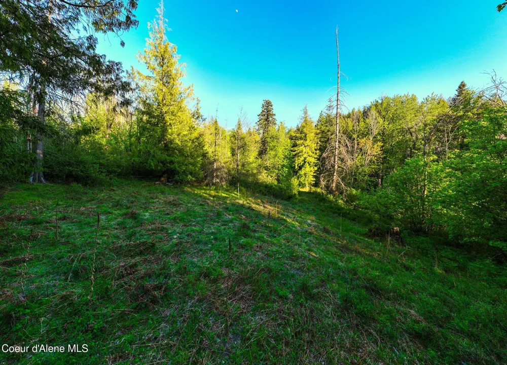 Lot F11 S Idaho Club Dr Sandpoint, ID 83864
