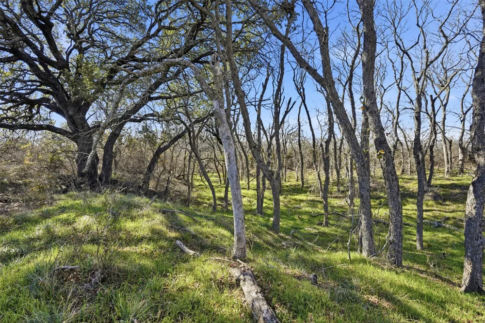 14725 Highway 183 May, TX 76857