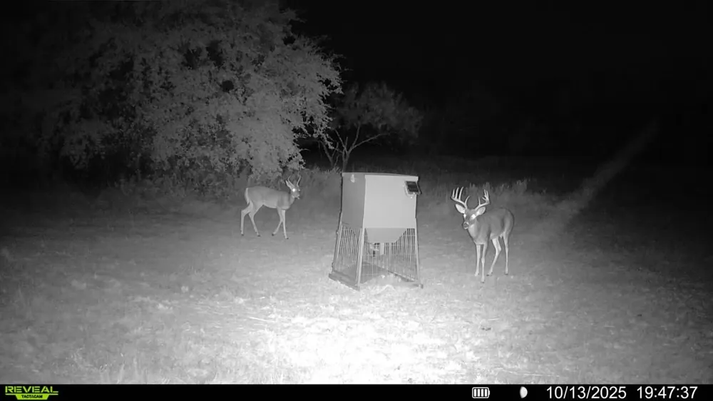 14725 Highway 183 May, TX 76857