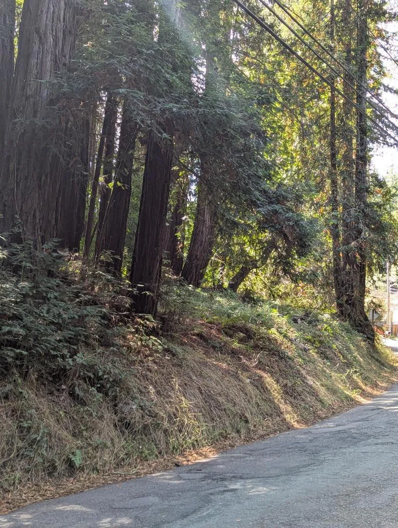 8055 Glen Haven Road Soquel, CA 95073