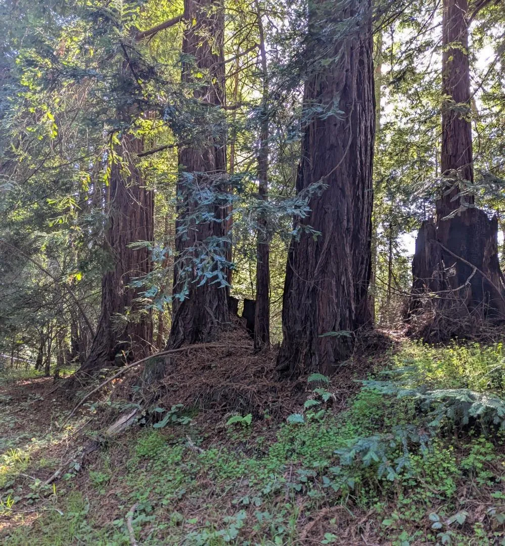 8055 Glen Haven Road Soquel, CA 95073