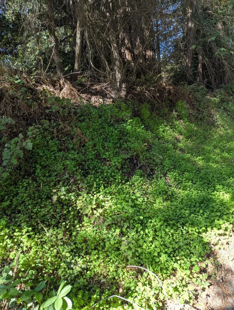 8055 Glen Haven Road Soquel, CA 95073